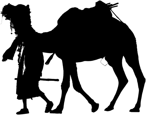 camel-animal-silhouette-desert-4731157