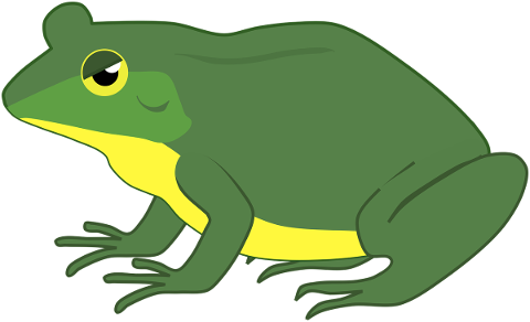 frog-toad-amphibian-water-creature-5412832