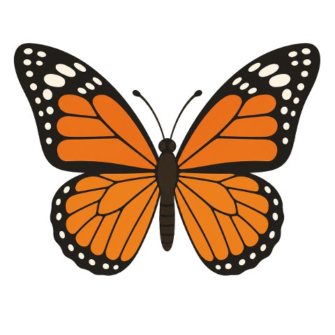 butterfly-monarch-butterfly-insect-10364848