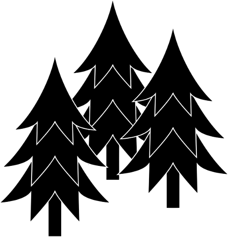 tree-silhouette-trees-pine-5816227