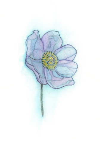 flower-figure-blue-white-5195256