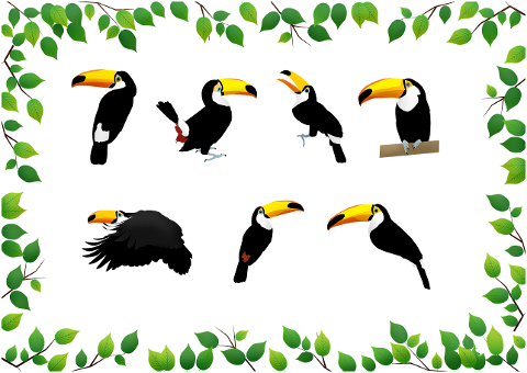 toucan-bird-tropical-leaves-zoo-4290636