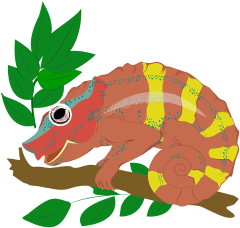 animal-chameleon-icon-wild-reptile-5821697