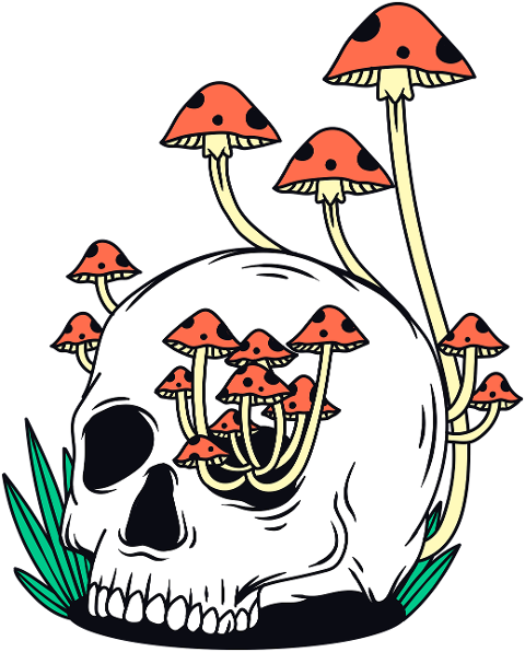 skull-mushroom-skeleton-horror-9055263