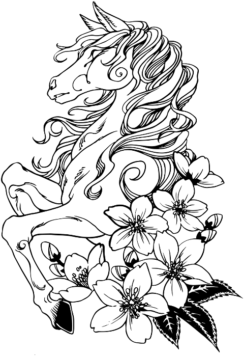 horse-nature-animal-sakura-drawing-10144238