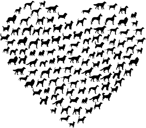 dogs-heart-love-canine-pet-animal-6785135