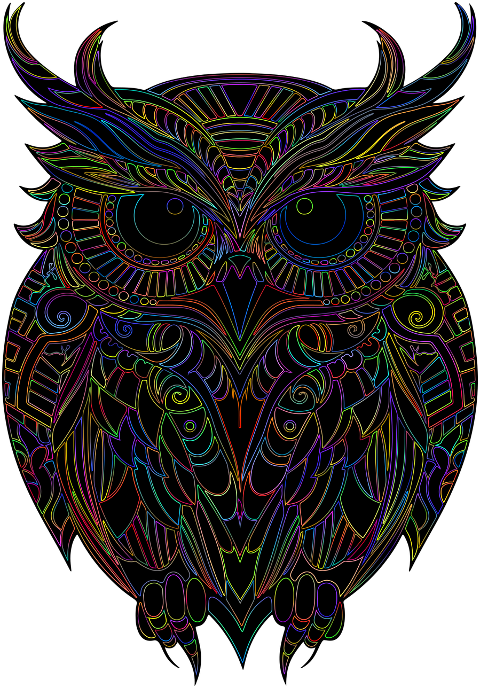 owl-bird-art-geometric-animal-8506556