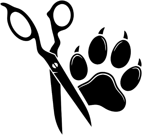 salon-hairdresser-work-stylist-9843748