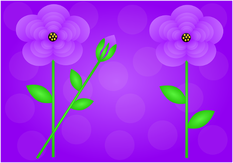 flowers-floral-violet-flower-7259157