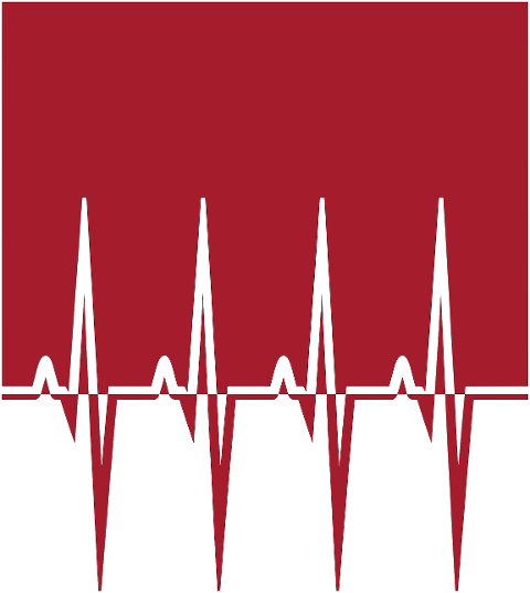 electrocardiogram-heart-monitor-10337596