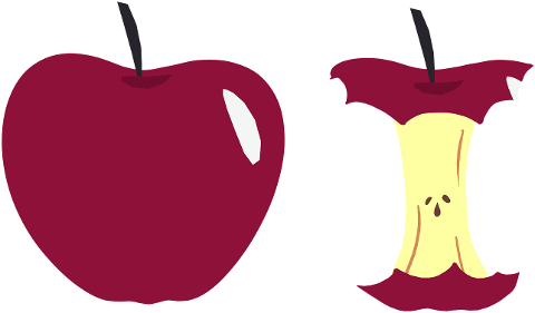 apple-apple-core-core-fruit-tasty-9746648