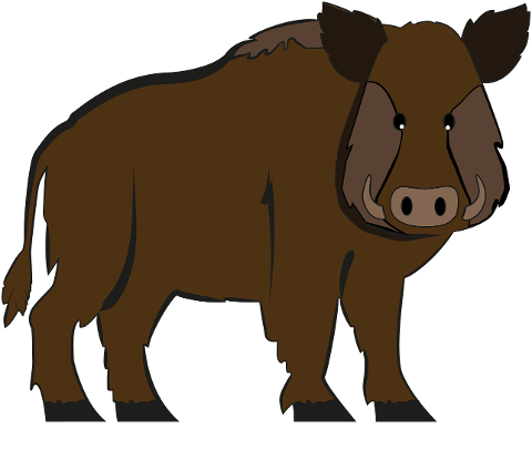 wild-boar-pig-pork-animal-drawing-7846302