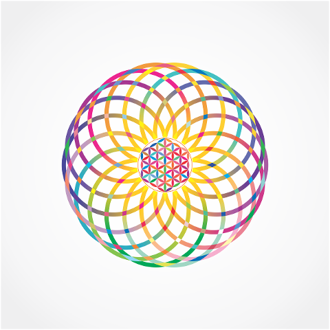 flower-geometry-design-circle-art-7234166