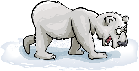 bear-polar-ice-floe-shaggy-animal-7723985