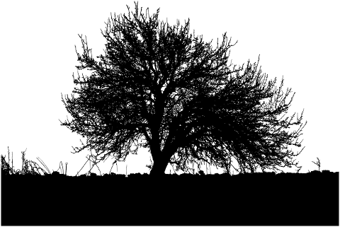tree-nature-silhouette-landscape-6785094