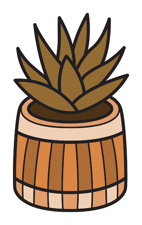 succulent-plant-greenery-barrel-9440793