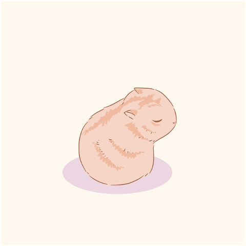 hamster-nature-rodent-animal-cute-9681114