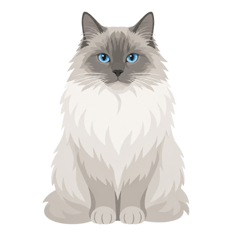 cat-long-haired-cat-blue-eyes-10355007