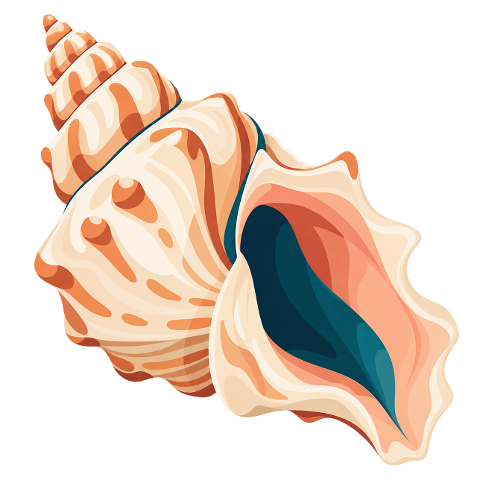 conch-marine-life-ocean-beach-10477932
