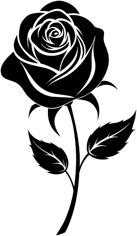 rose-flower-plant-decorative-8815248