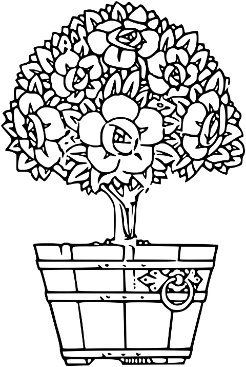 flowers-floral-plant-design-7642184