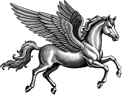 pegasus-horse-wings-animal-9522373