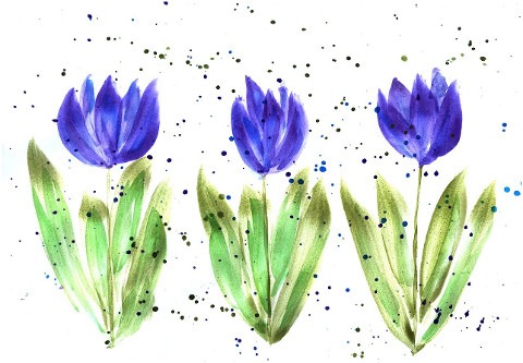 crocus-tulip-spring-watercolor-6112888