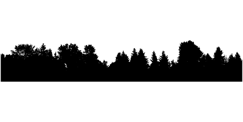 forest-trees-silhouette-landscape-7369248