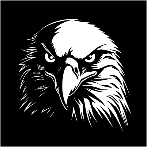 eagle-head-art-cartoon-bird-8509896