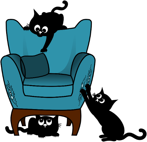 cat-kitten-black-cats-pet-animal-9606698