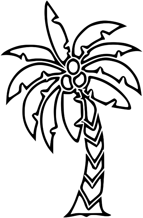 tree-palm-tree-coconut-tree-drawing-6857417