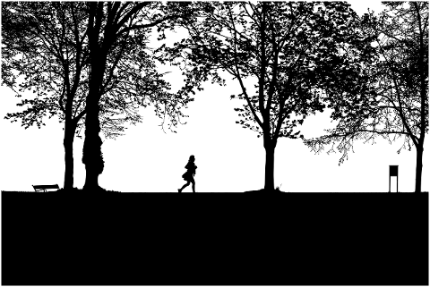 forest-park-silhouette-trees-7501517