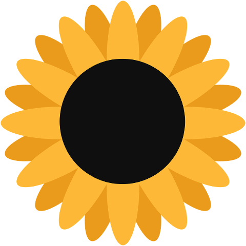 sunflower-yellow-flower-spring-10491365
