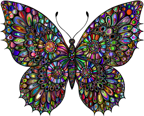 butterfly-insect-animal-flourish-9588146