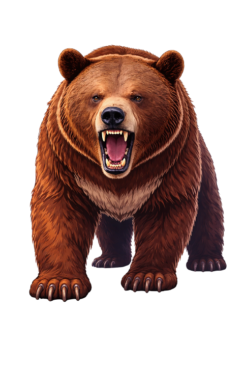grizzly-bear-illustration-wild-animal-10079593
