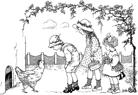 children-chicken-farm-kids-boy-6345148