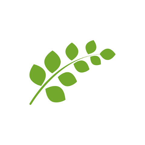eco-icon-logo-leaf-friendly-green-5465405