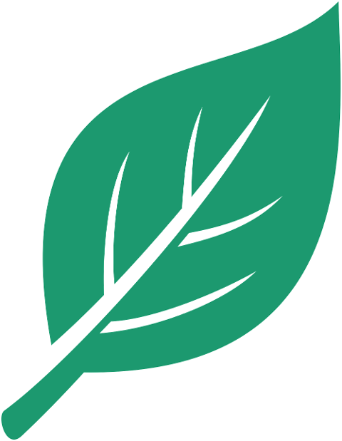 green-leaf-plant-nature-spring-9850201