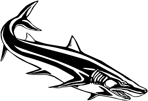 shark-animal-nature-line-art-fish-6699755