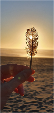 beach-feather-sunset-chipped-sand-5117437