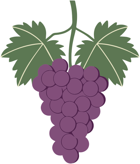 ai-generated-grapes-fruit-grapevine-9561550