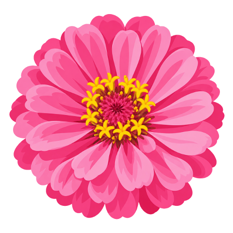zinnia-flower-pink-flower-10489396