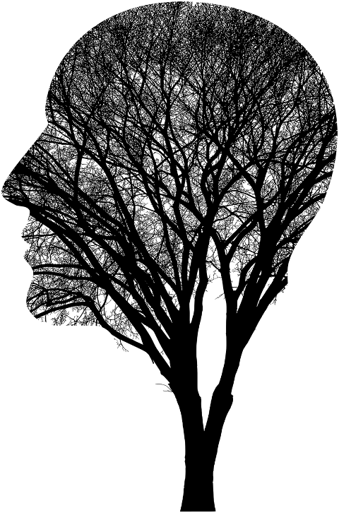 man-brain-tree-branches-mind-head-8057241
