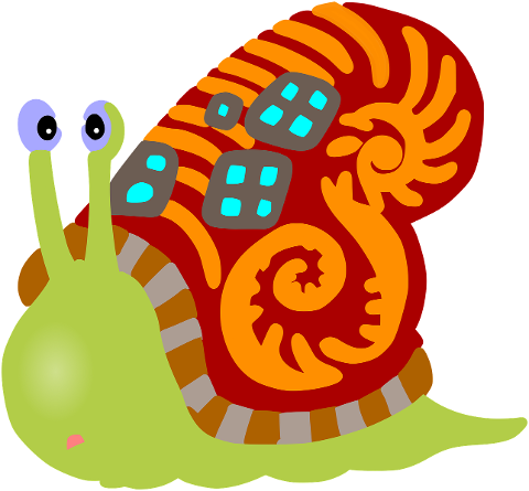 snail-shell-animal-mollusc-slow-6180911