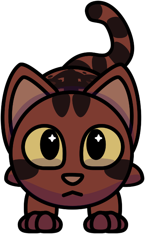 cat-kitten-pet-animal-brown-9563347