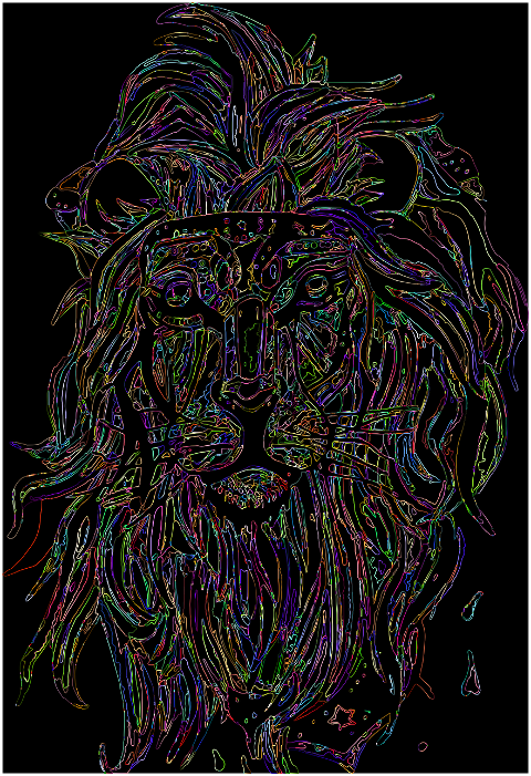 lion-animal-feline-line-art-7435508