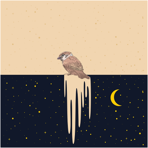 bird-night-moon-star-dark-art-9717003
