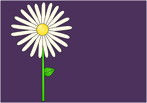 daisy-flower-background-spring-7004501