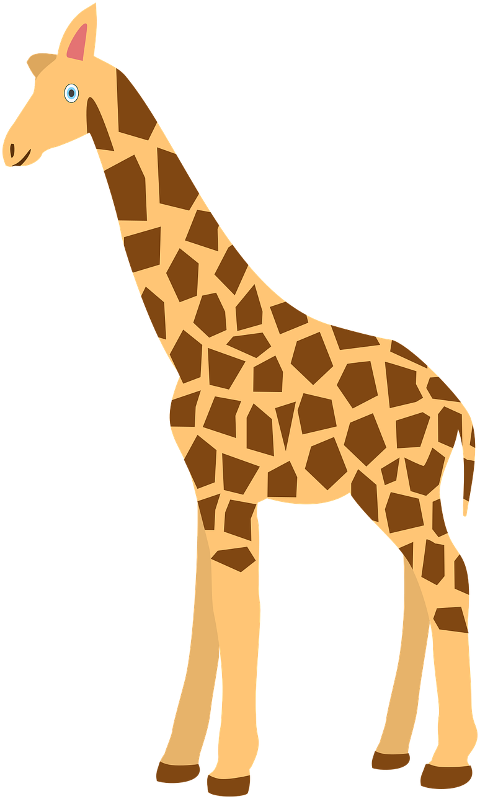 giraffe-animal-mammal-cutout-6664788