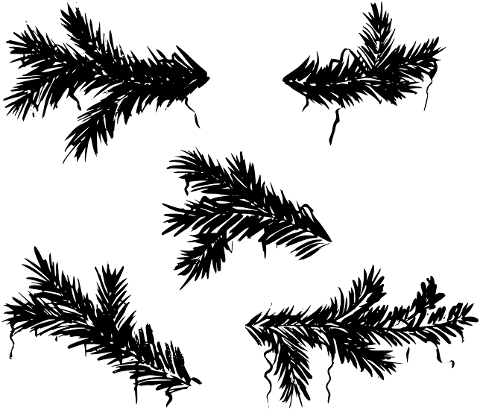 twigs-branch-silhouette-tree-6803353